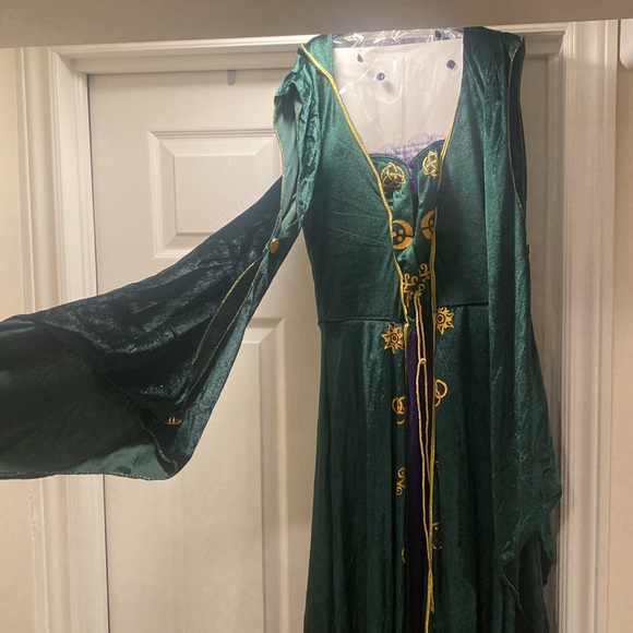 Spirit Halloween Adult (Small) Winifred Sanderson Hocus Pocus Costume - Picture 6 of 8